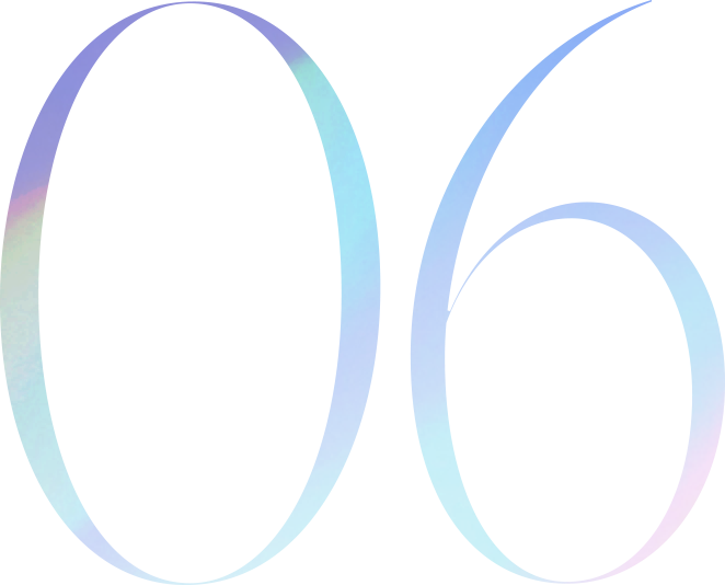 06